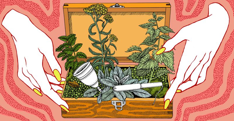 An illustration, on a pink-red background, of two hands holding an opened wooden box containing a tampon and a menstrual cup interspersed amongst plant life.