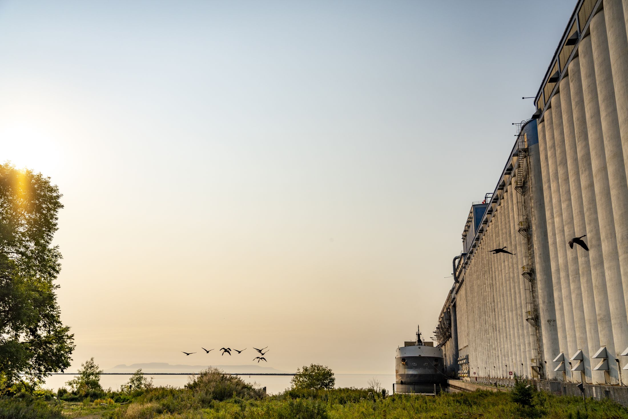 Birds fly over the shore of Lake Superior, with a grain terminal to the right