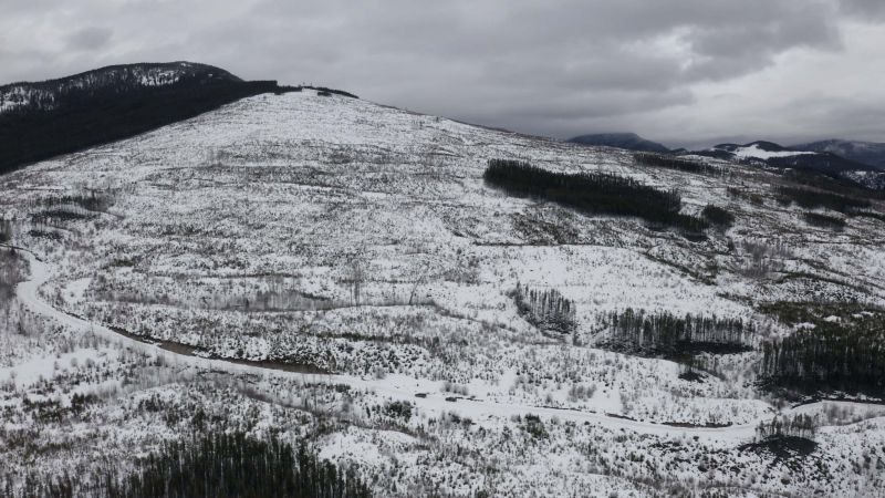 A vast, sprawling clearcut on a hillside, lightly covered in snow