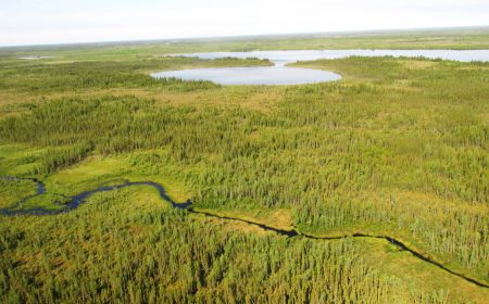 An aerial view of the boreal forest in the Ring of Fire Region in northern Ontario