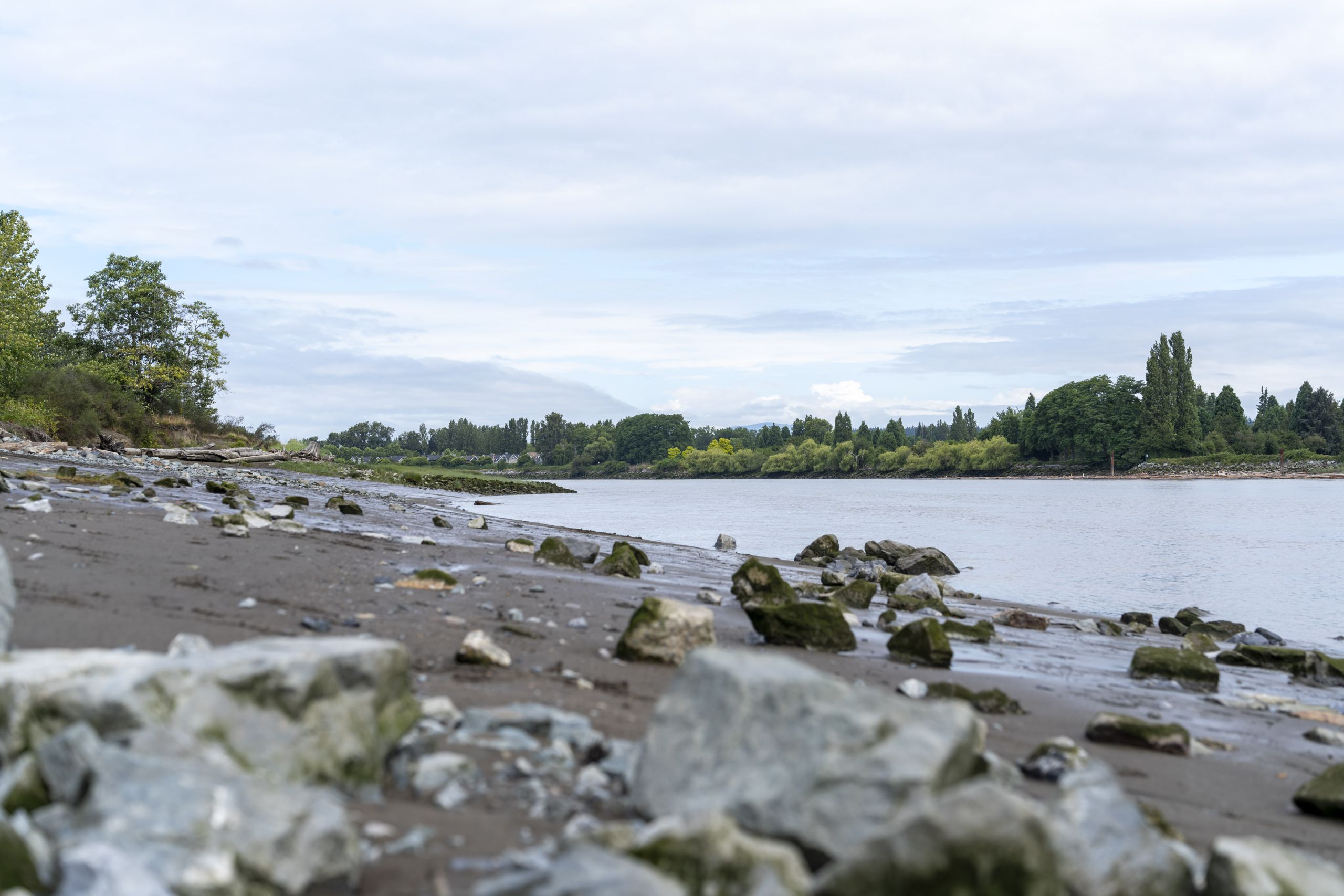 A photo of the Fraser River at low tide with a rocky beach in the foreground