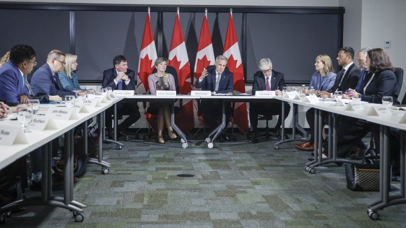 Prime Minister Mark Carney is seen wearing a suit and gesturing as he speaks to attendees of a meeting. Behind the prime minister are four Canadian flags.