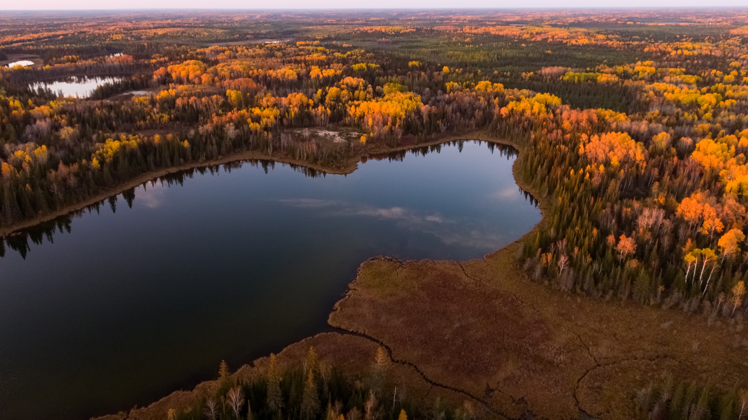 An aerial view of a small lake surrounded by trees showing their fall colours.