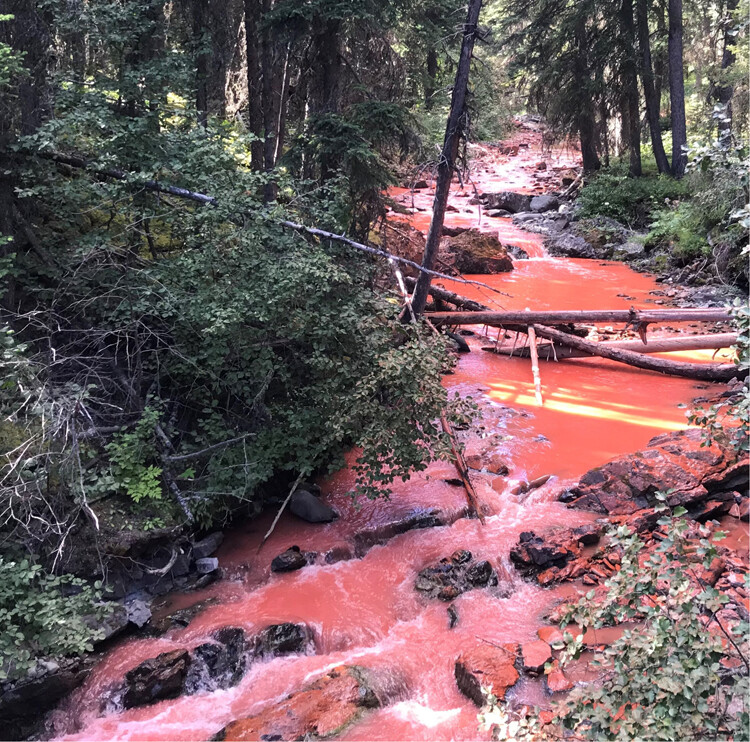 A mountain creek, dyed rust red from a fire retardant drop, flows through a forest.