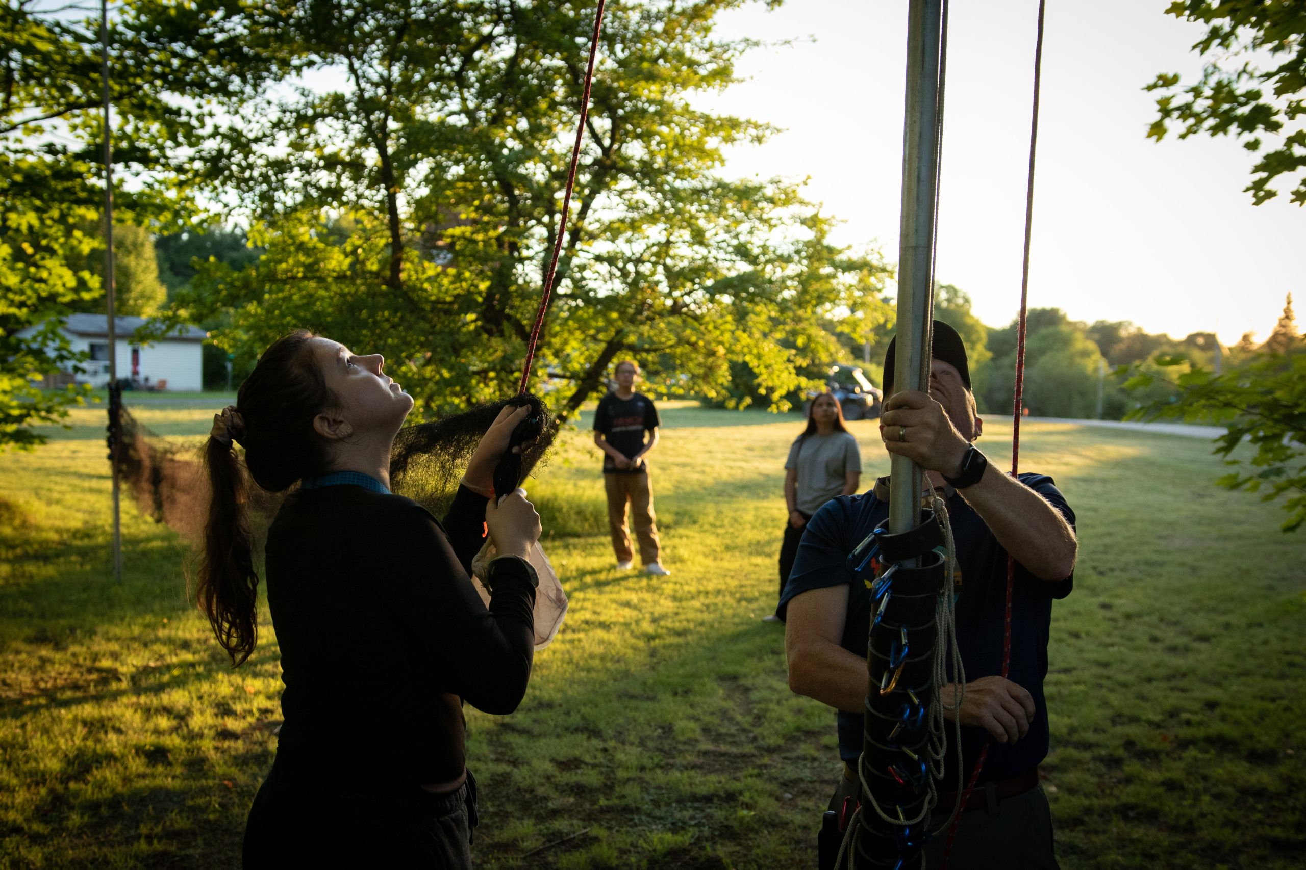 Derek Morningstar, an ecologist and bat research, sets up a bat net in a tree with the help of a technician