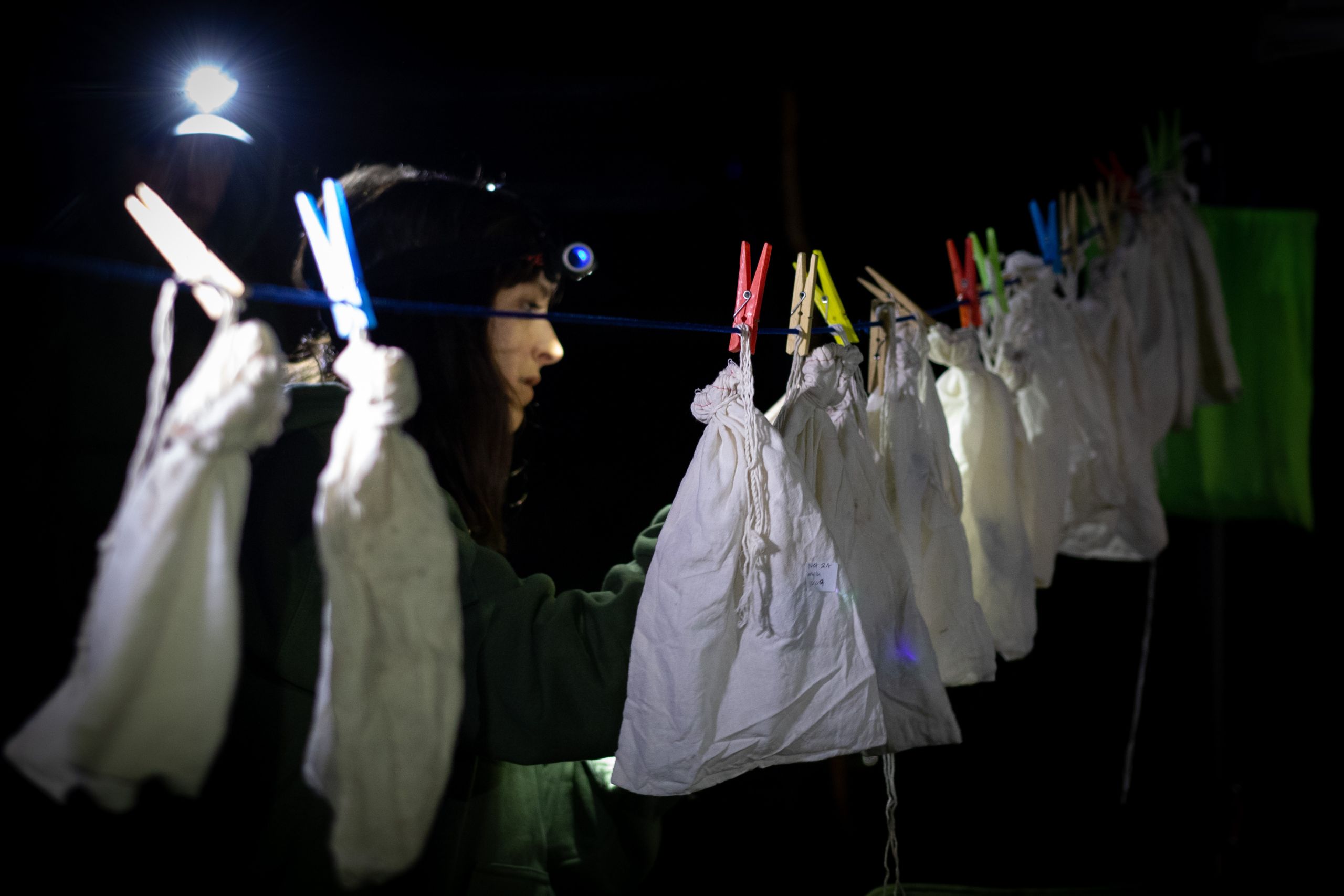White cloth bags of bats hanging from a line at night. They have been caught and will be measured, banded and released by Shawanaga First Nations community members.