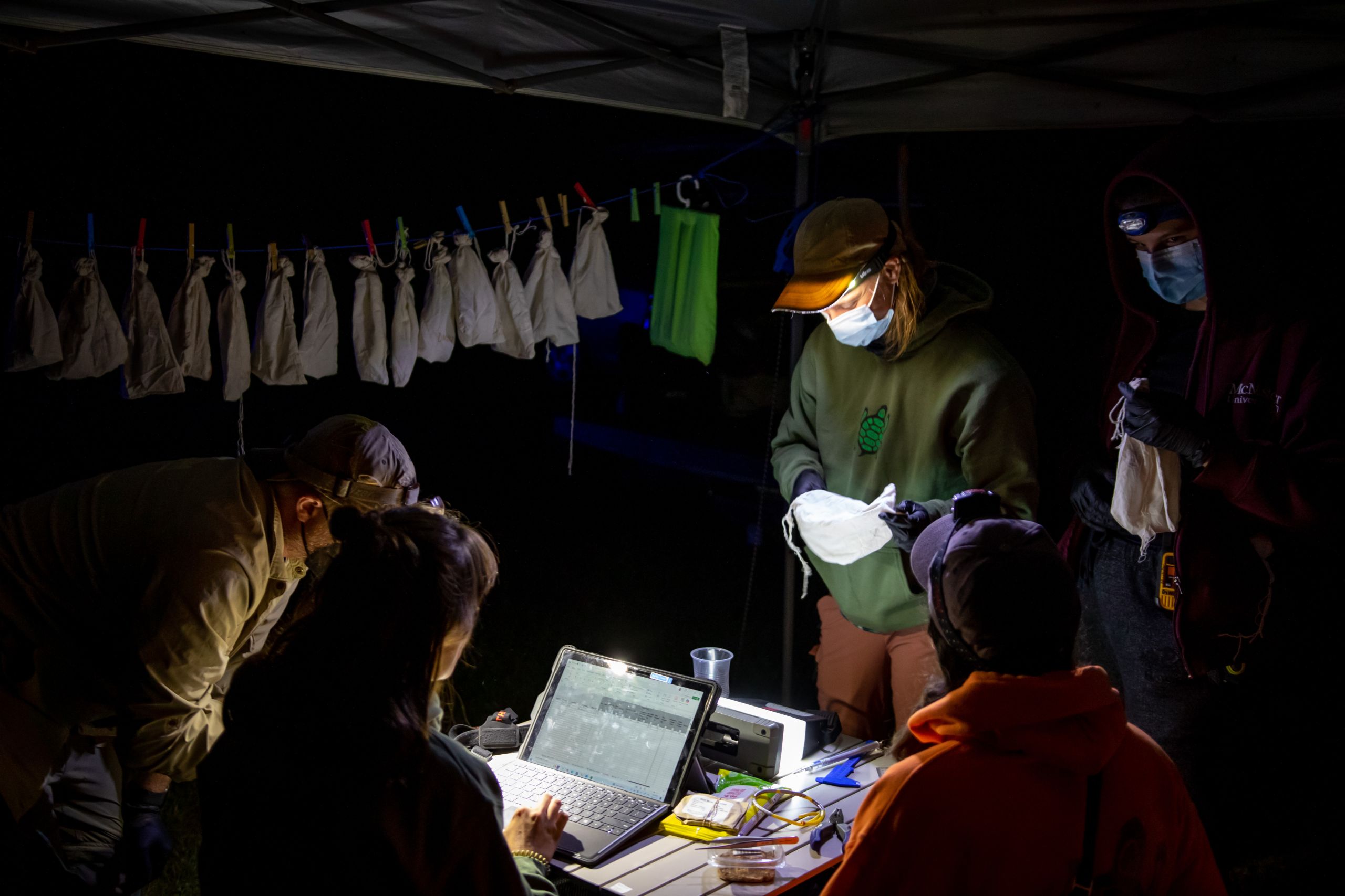 A team of community researchers from Shawanaga First Nation at a bat research station at night.