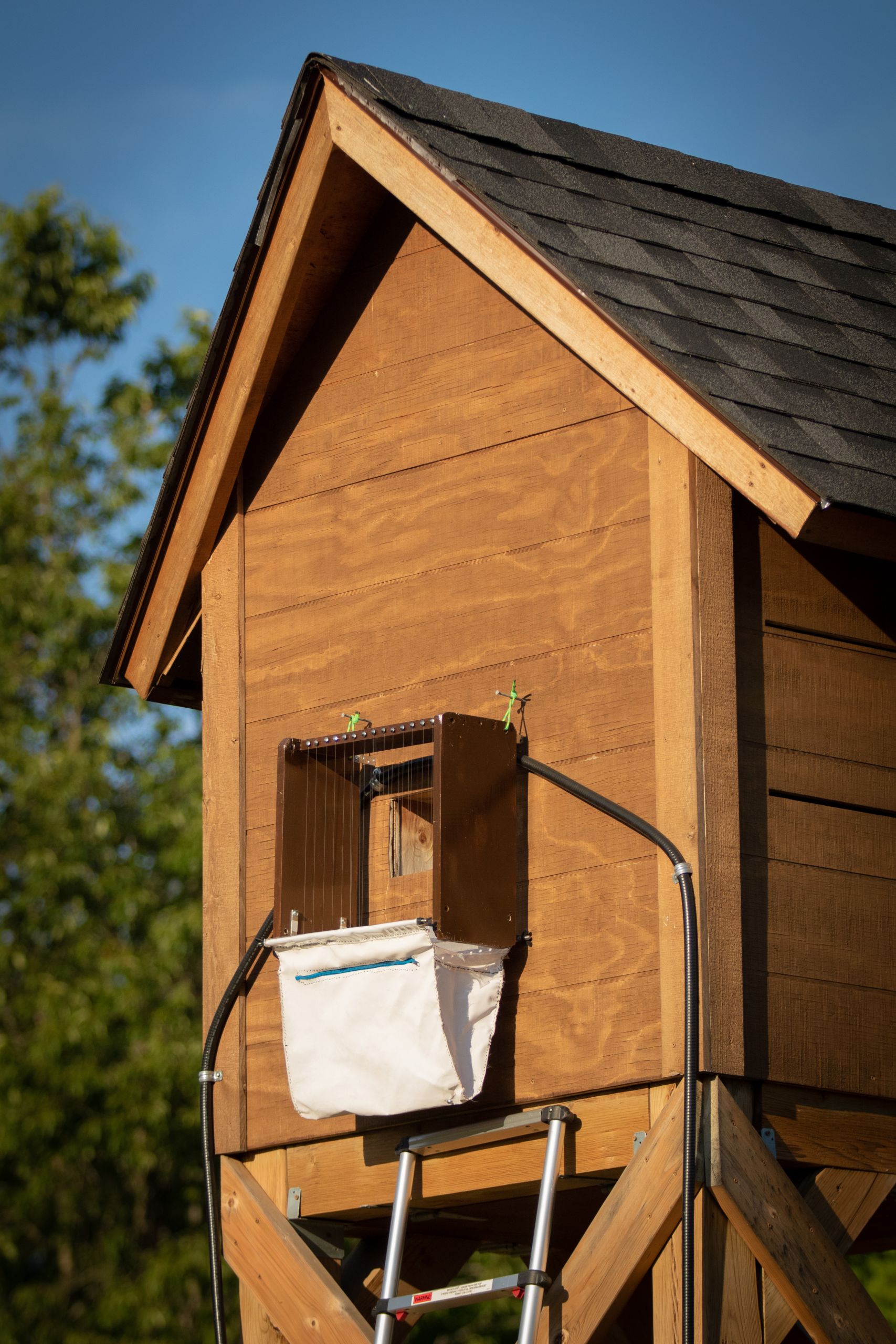 A "bat condo" — a wooden house-like structure — on the Shawanaga First Nation