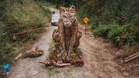 A sculpture of a cougar made from wood reclaimed from past cut blocks stands in the middle of a logging road in the Walbran Valley on Vancouver Island.
