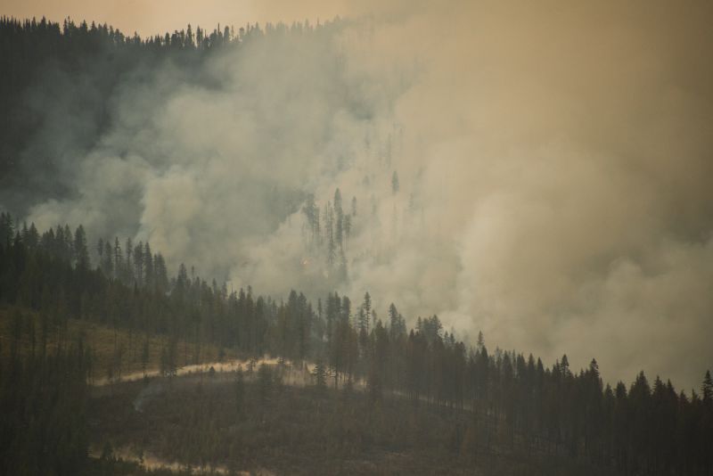 How do wildfires affect lakes?