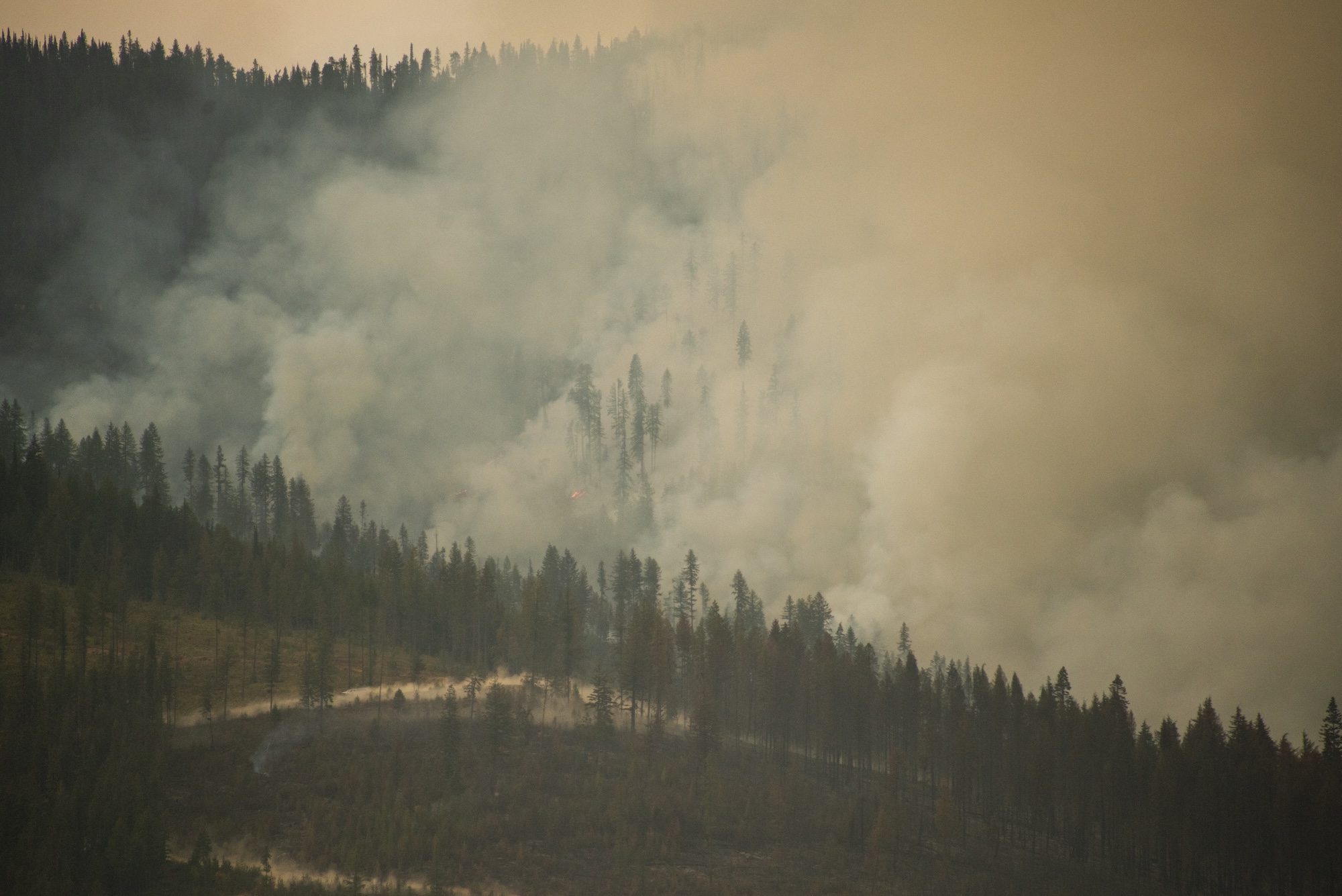 A wildfire on a forested hillside above Kid Creek in Kitchener, B.C. in September 2025