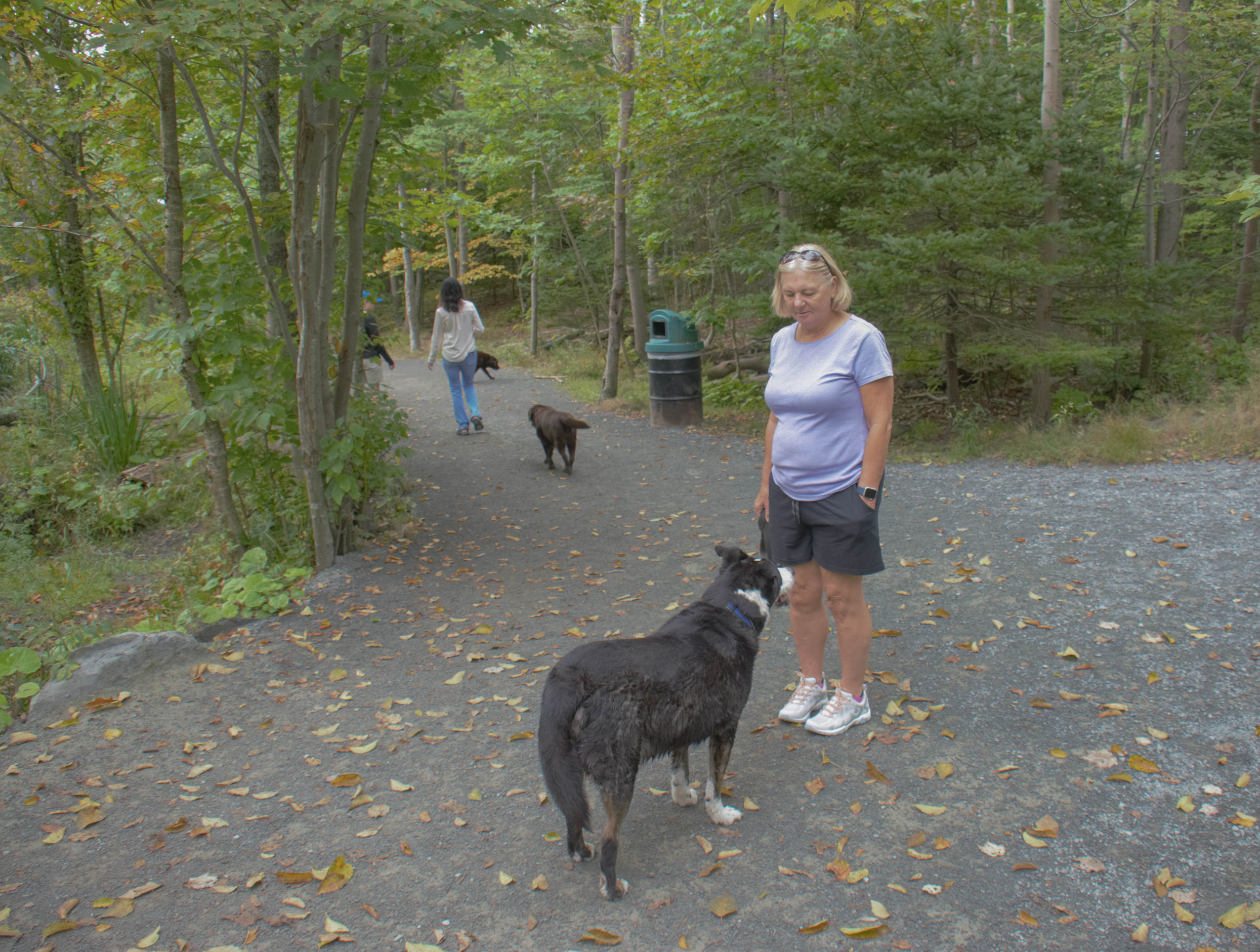 A woman stands with her dog on a forested trail in Dartmouth's Shubie Park.