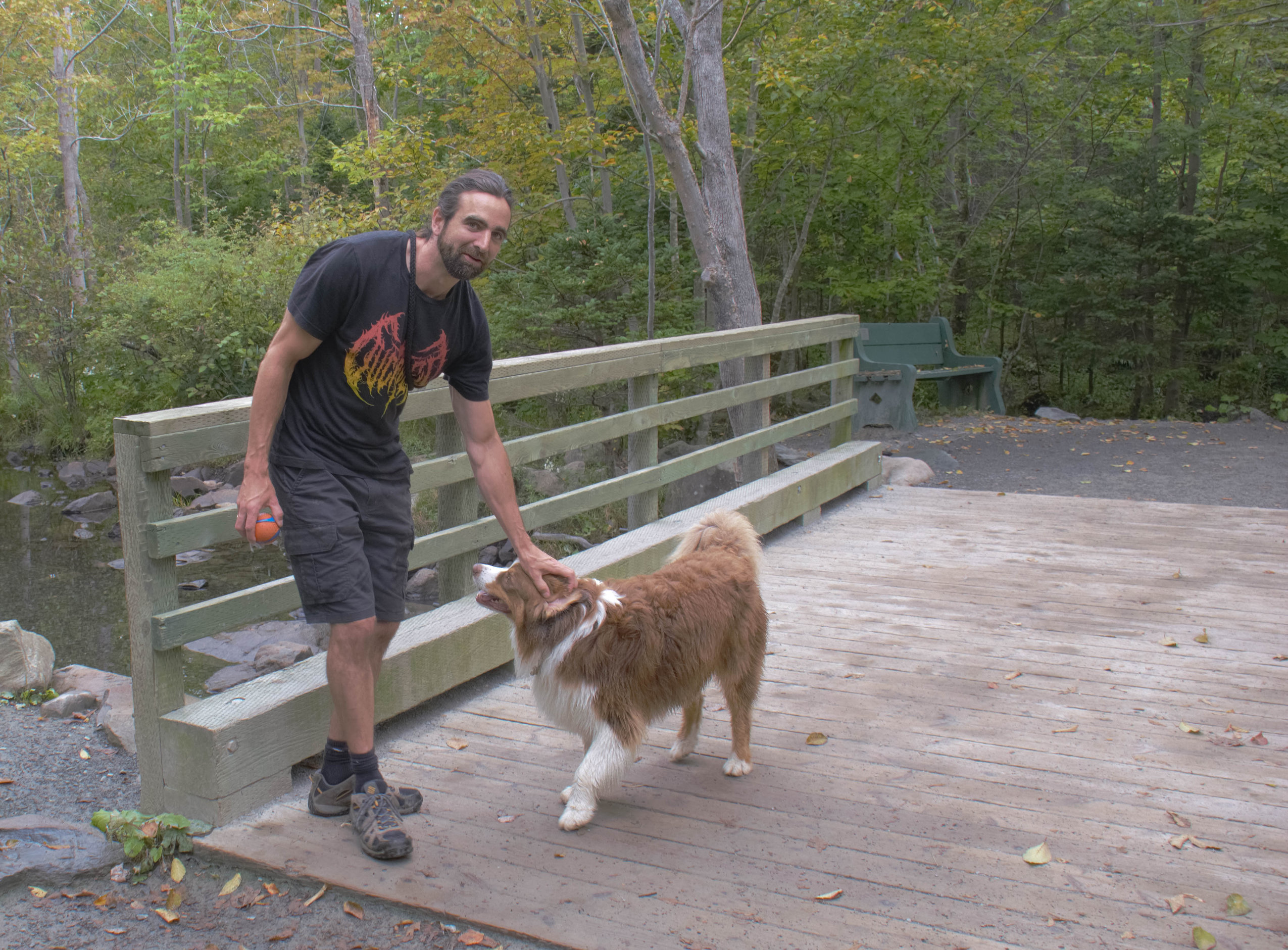 A man stands with his dog on a bridge over a creek in Dartmouth's Shubie Park, which recently reopened after weeks of closure due to the Nova Scotia government's woods ban.