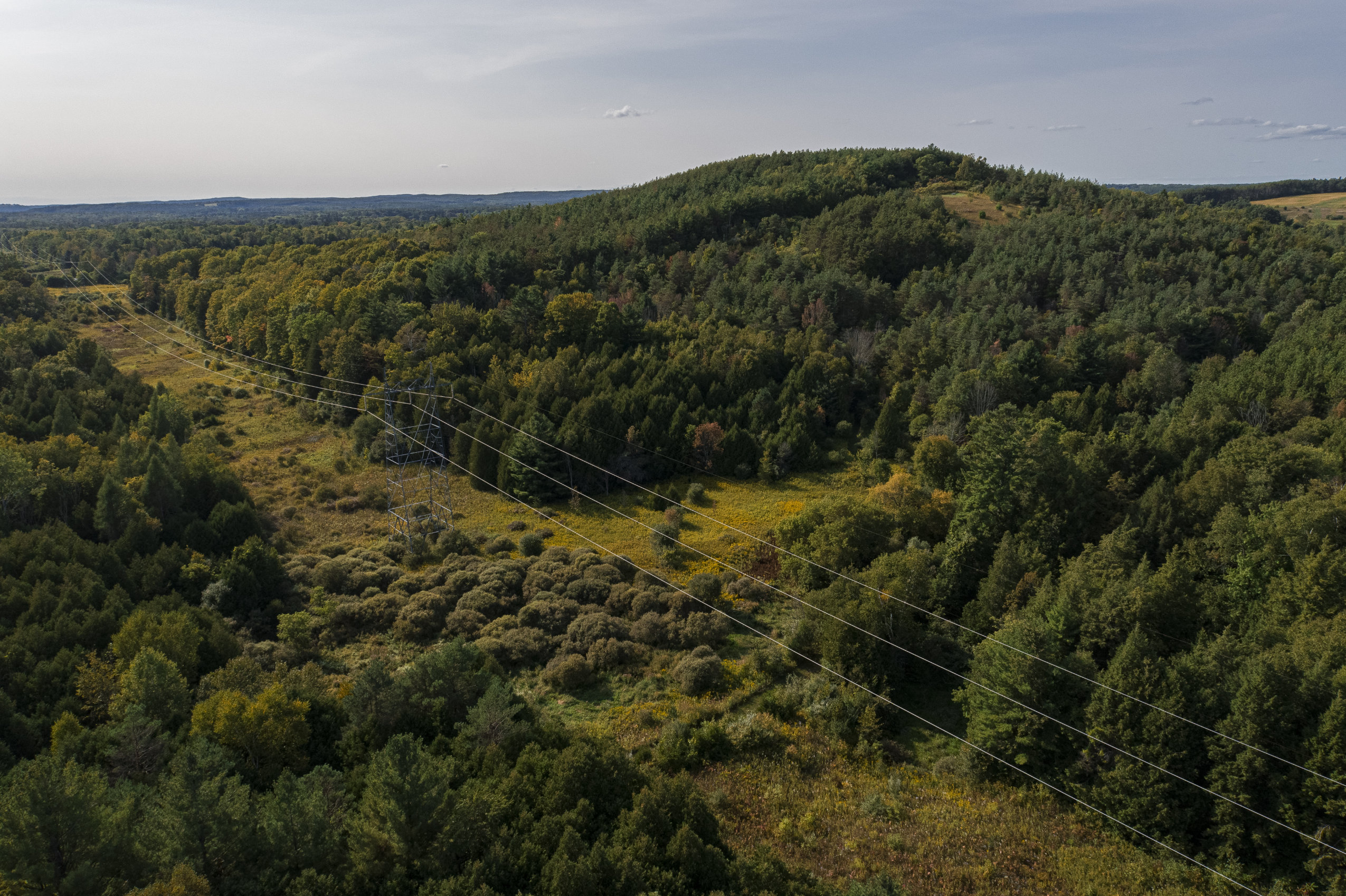A forested drumlin in the hamlet of Garden Hill in Port Hope, Ont.