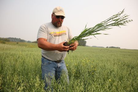 Farmer Rob Wunder holds the roots and soil of an oat plant in a green grassy field on his farm in Saskatchewan