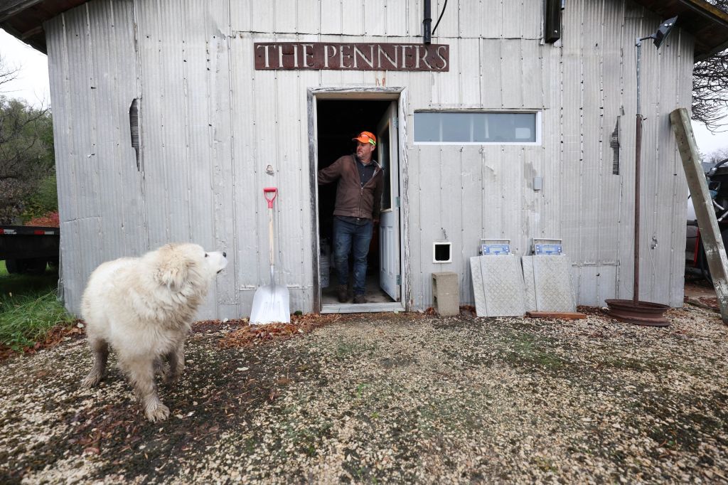 A man walks out of a shed with a sign labelled "The Penners" on it. A white dog with dirty paws watches him exit