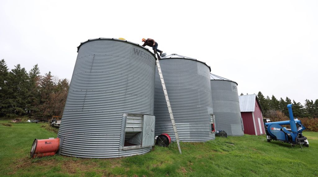 A man climbs atop three tall aluminum granary barrels, with a ladder propped against them.