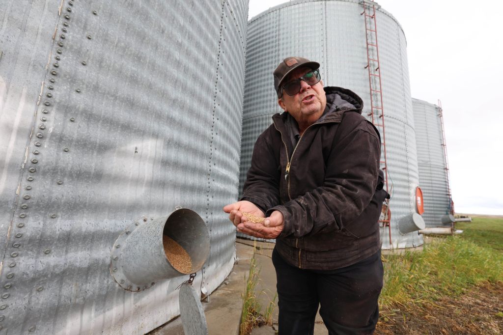A man wearing a grey sweatshirt and baseball hat gathers grain in his hands from a large aluminum grain barrel spout