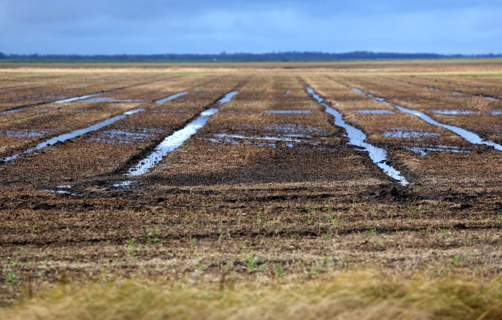 Wet farm fields on a clear day.