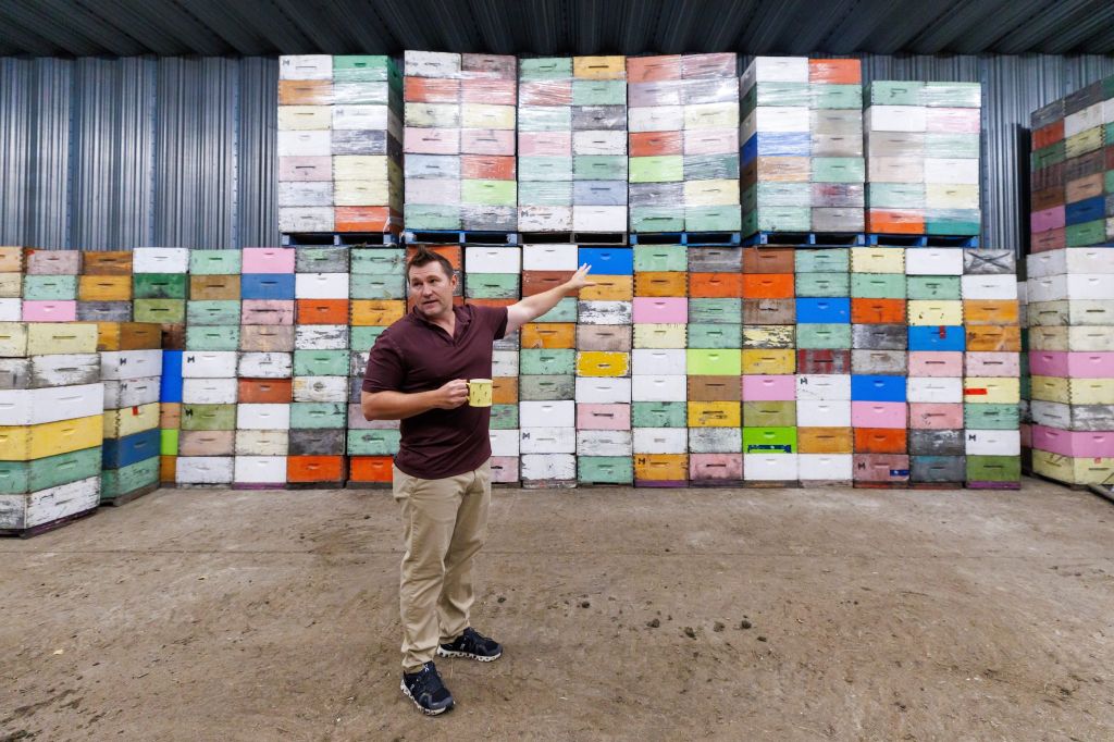 A man in a burgundy t-shirt, holding a coffee cup, points to a large stack of colourful box beehives in his storage shed.