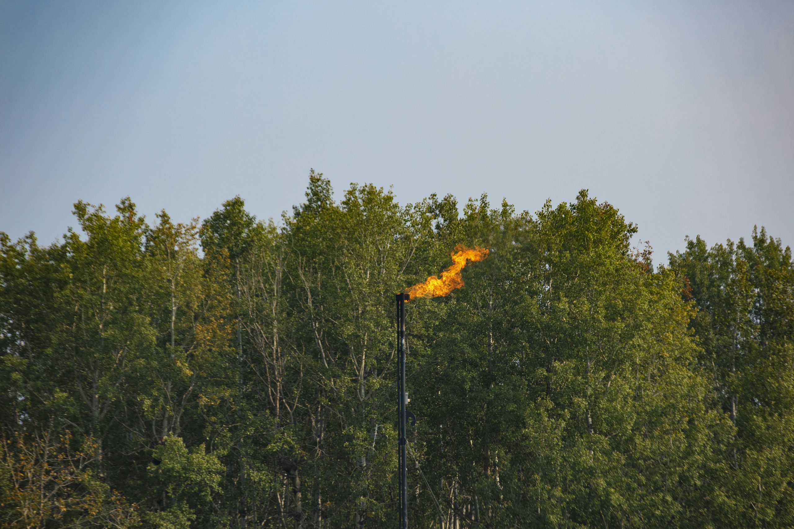 An orange flame shoots from a flare stack in rural Alberta, with green trees in the background.