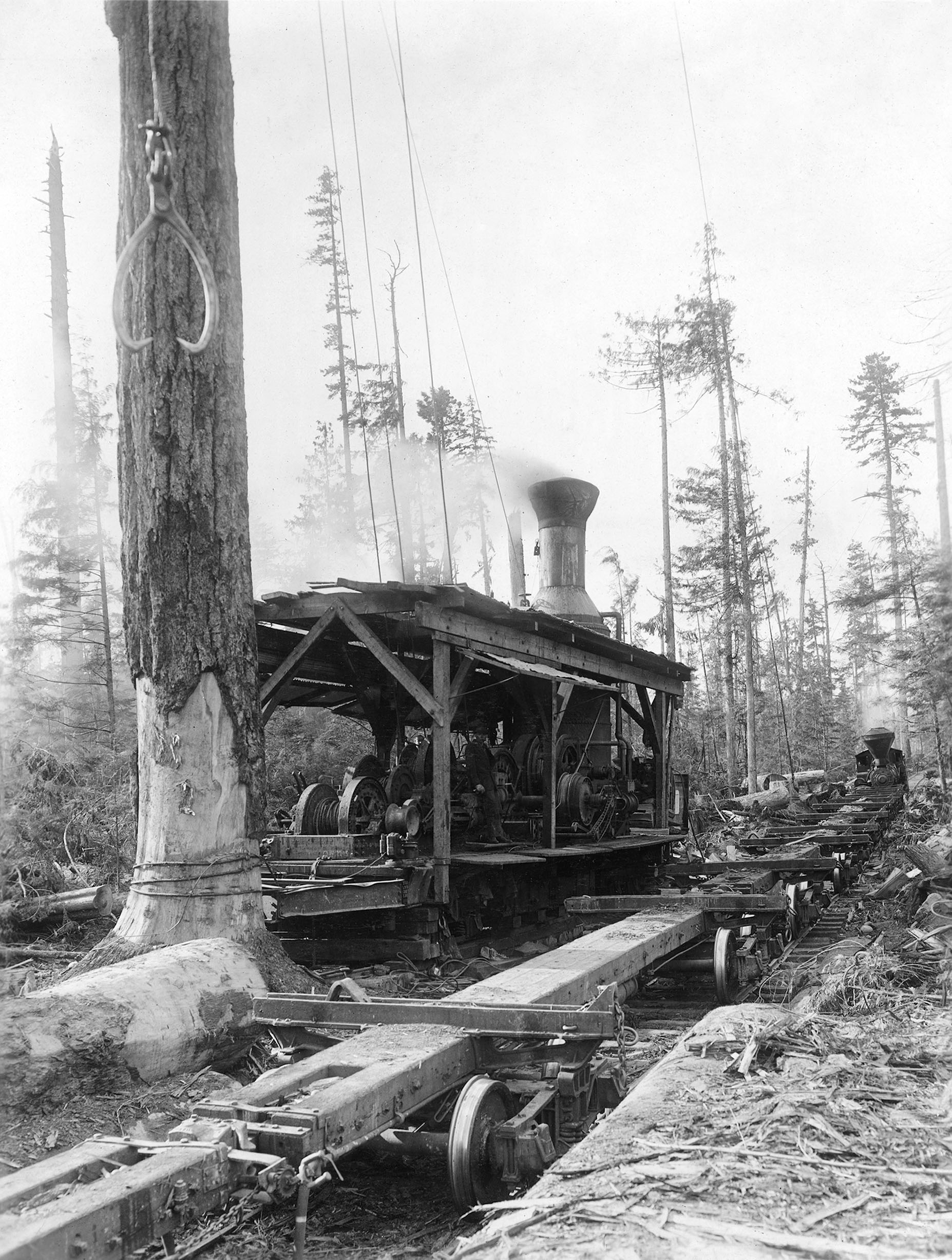 A black-and-white image of an old logging timber loader in a forest