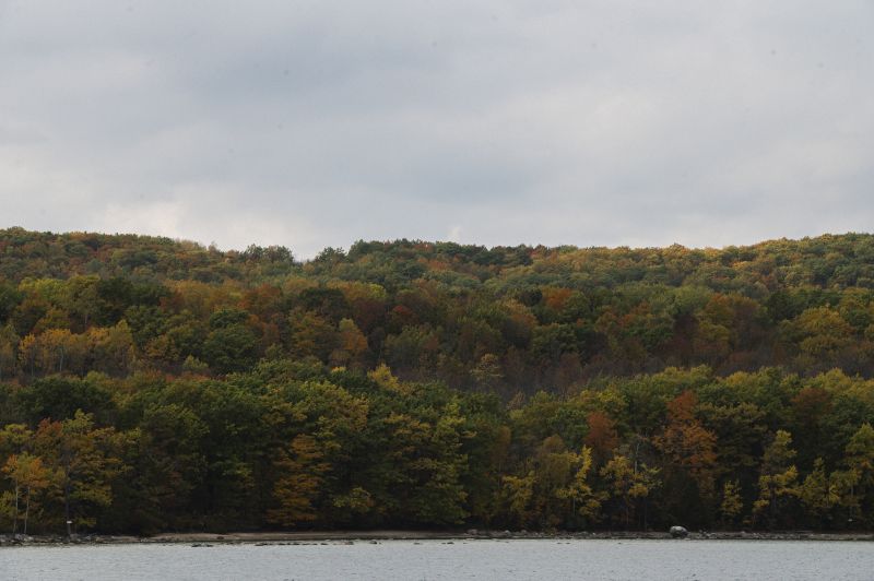 A forested hill — the Niagara Escarpment — rises above the shore of Georgian Bay in Meaford, Ont. It is fall, and some of the trees have changed colour.