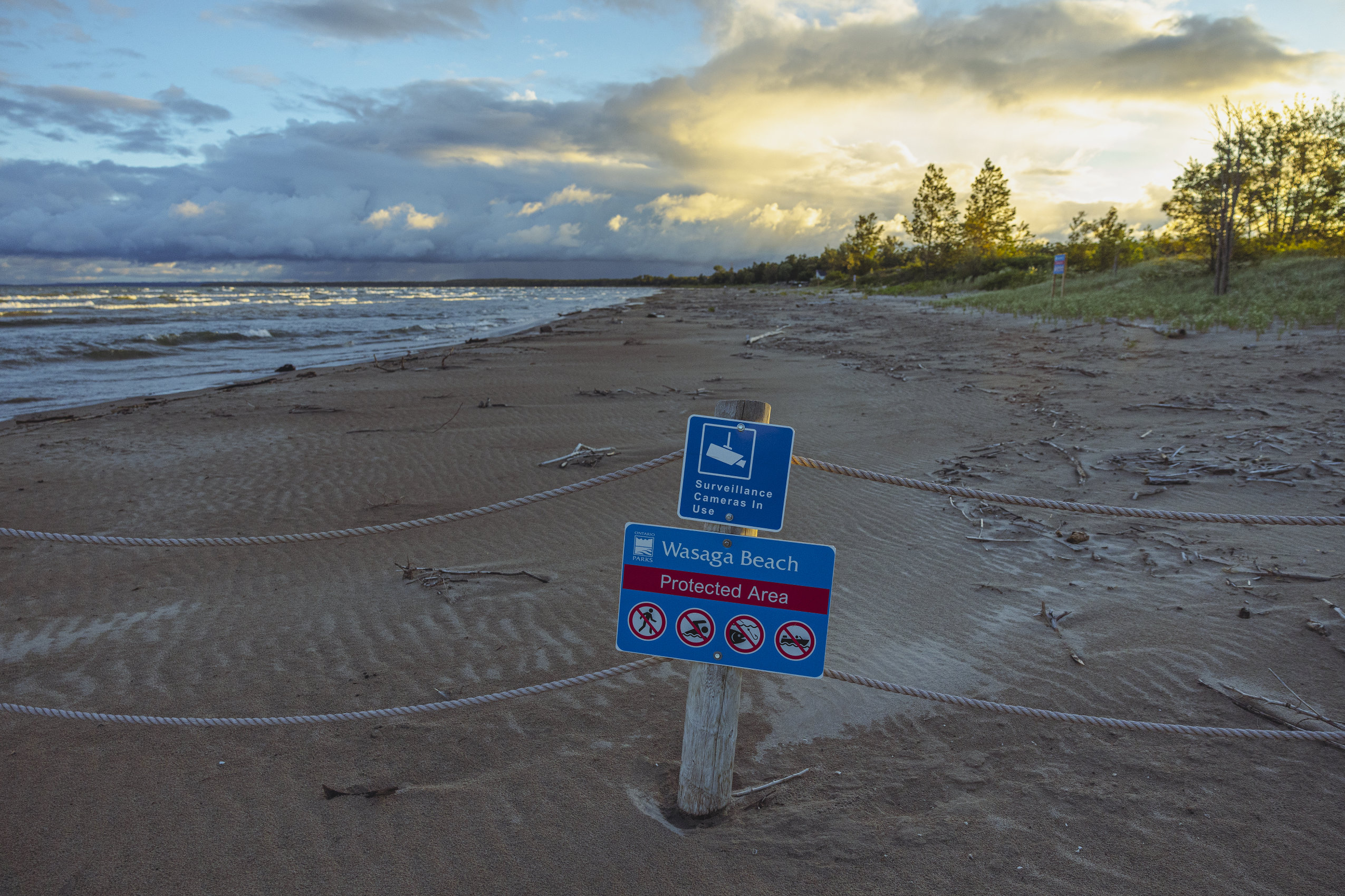Sunrise at an empty segment of beach, where a sign along a rope fence reads: "Wasaga Beach: Protected Area"