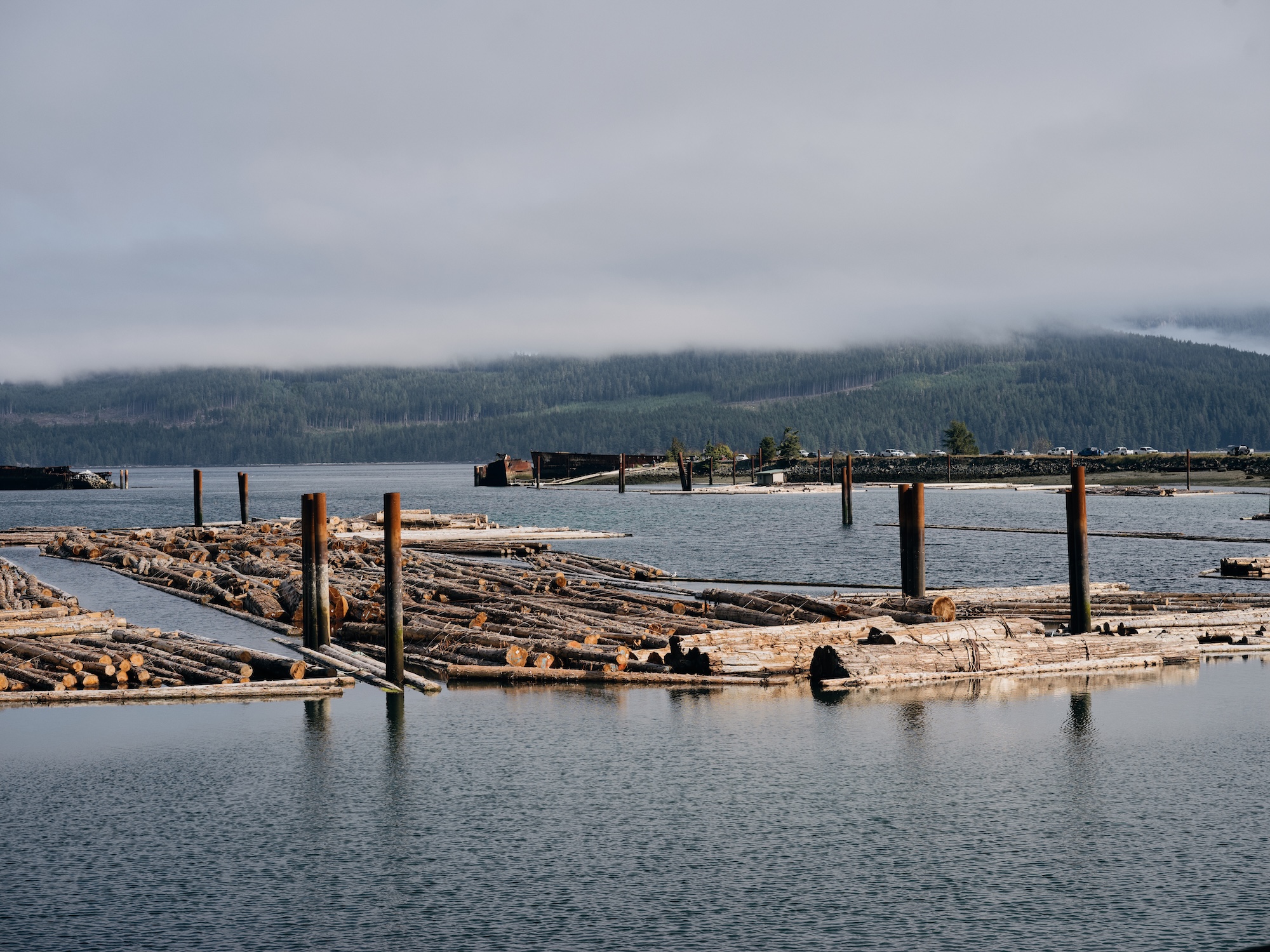 Logs float on the ocean with cloud-covered mountains in the background