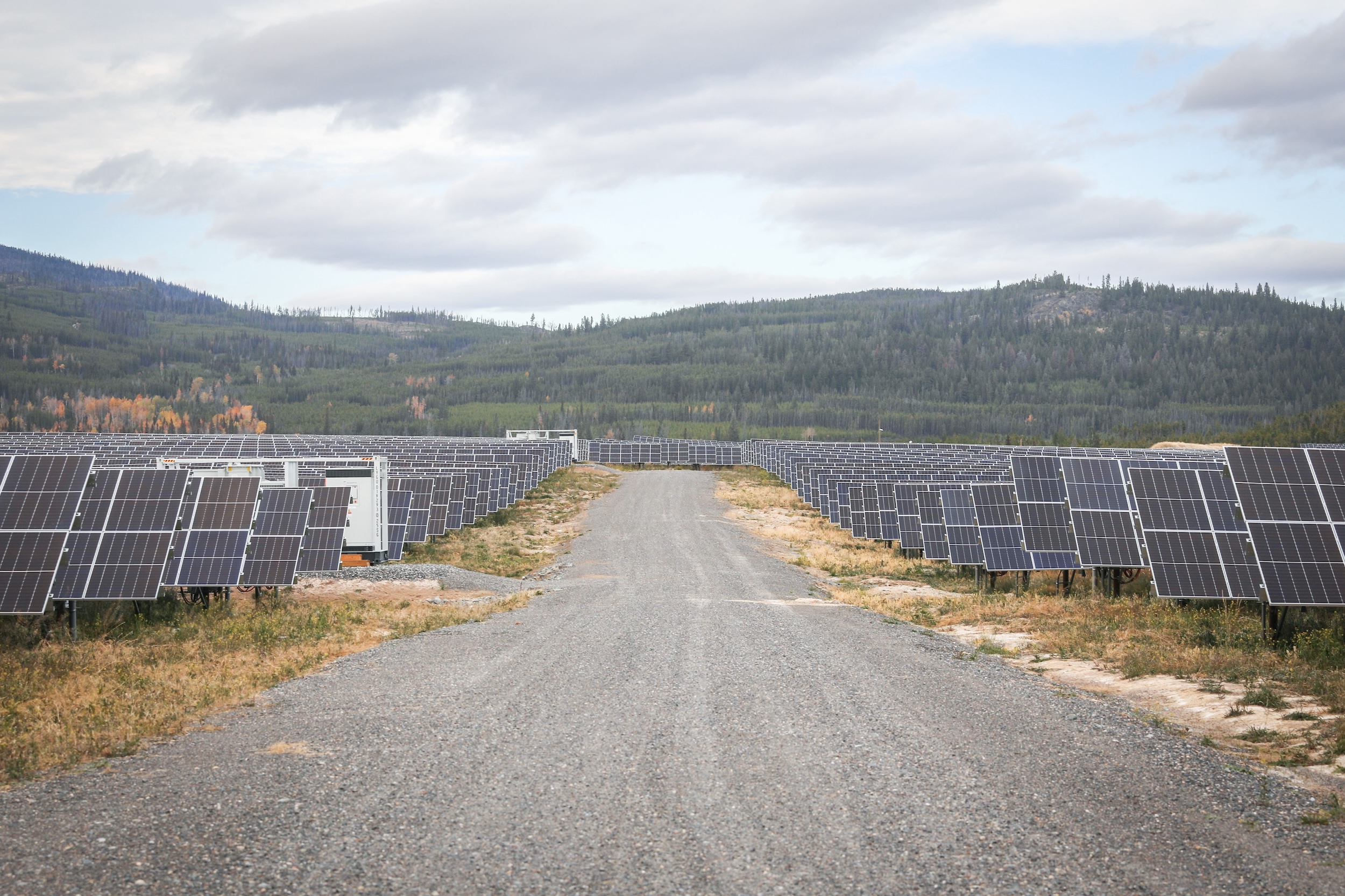 A field full of grey solar panels is split down the middle by a gravel road.
