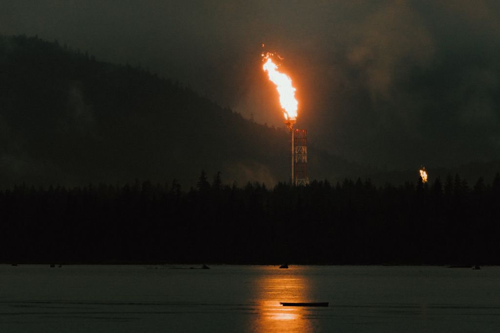 Financial considerations likely behind LNG Canada flare fix delay: experts