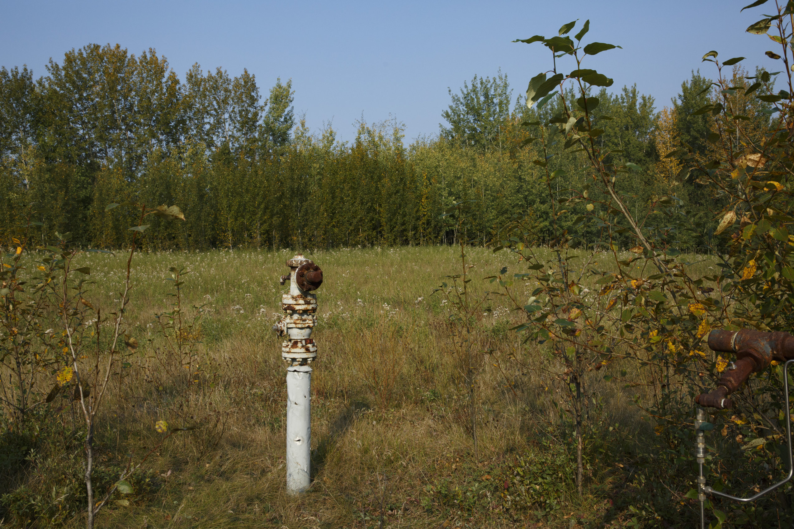 The rusting top of an oil well pipe, about four feet high, emerges from a field in rural Alberta.