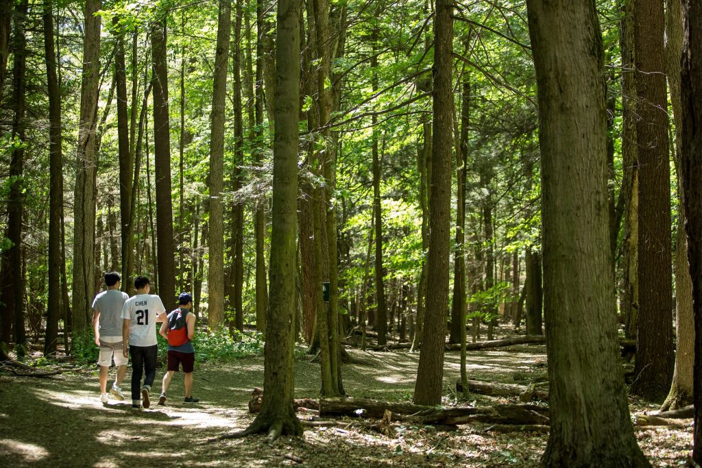 How does the Ford government really feel about parks?