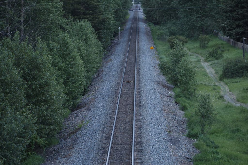 Who’s responsible for train-wildlife deaths? B.C. and Ottawa give different answers