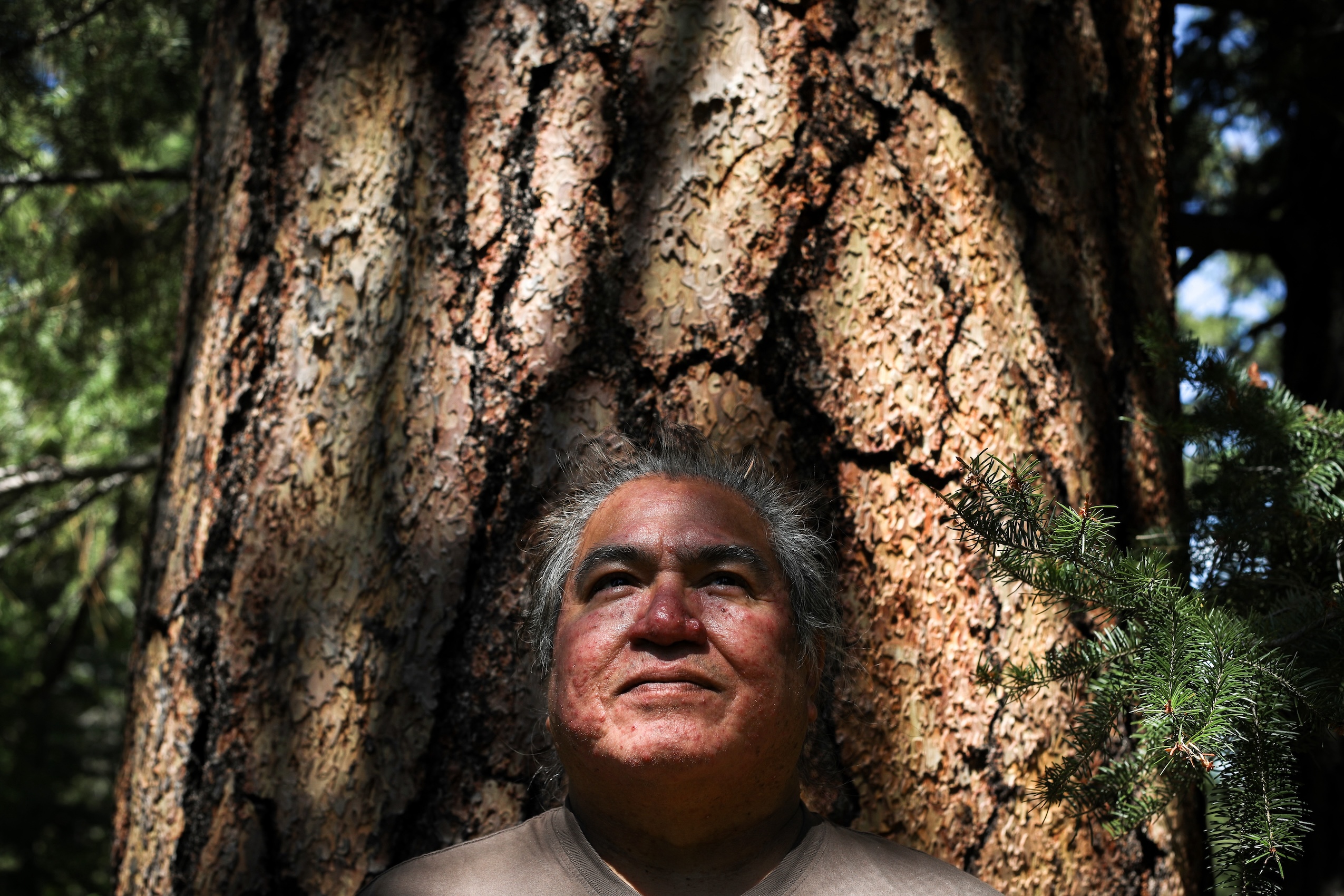 Joe Gilchrist, a Secwépemc Nation member, stands against a large tree trunk, his face shaded by the tree's branches.