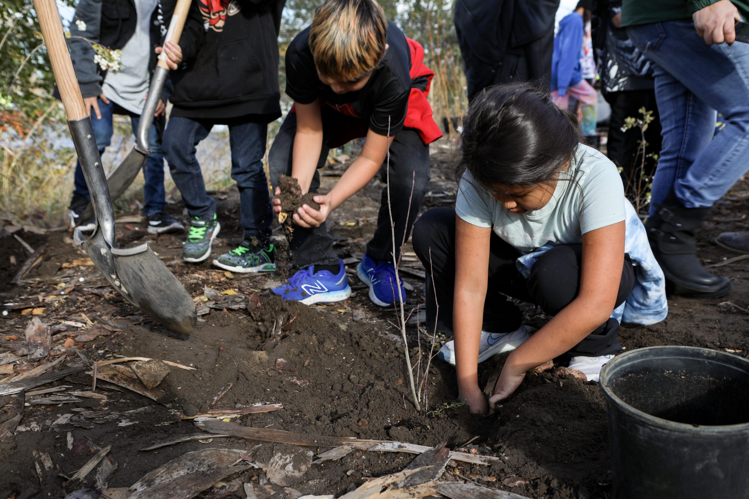 A small group of children plants a tree in a patch of bare soil.