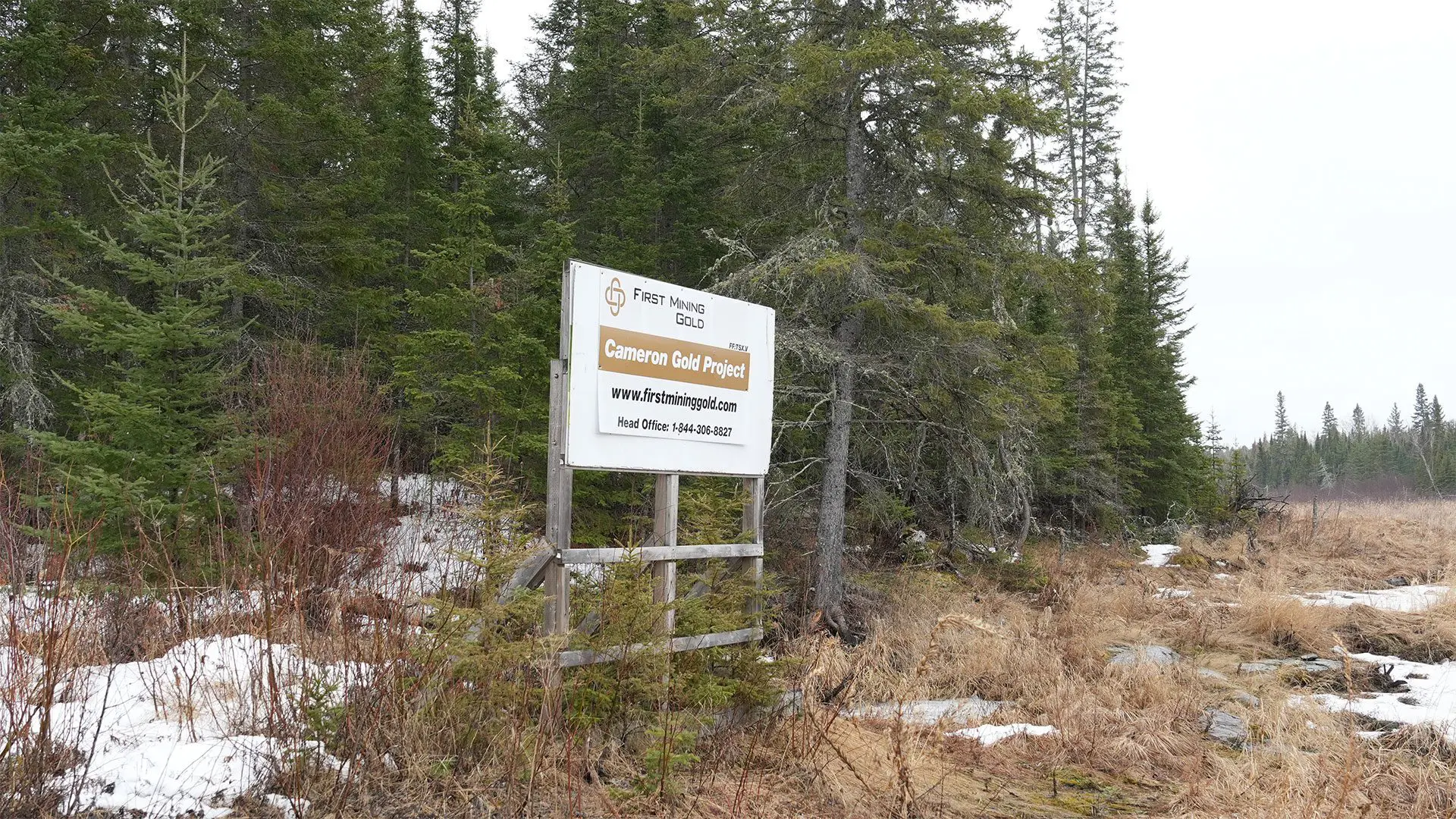 A white sign reading "First Mining Gold: Cameron Gold Project" stands at the edge of a forest.