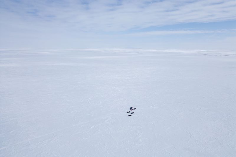 photo of The secret world of Arctic Ocean DNA image