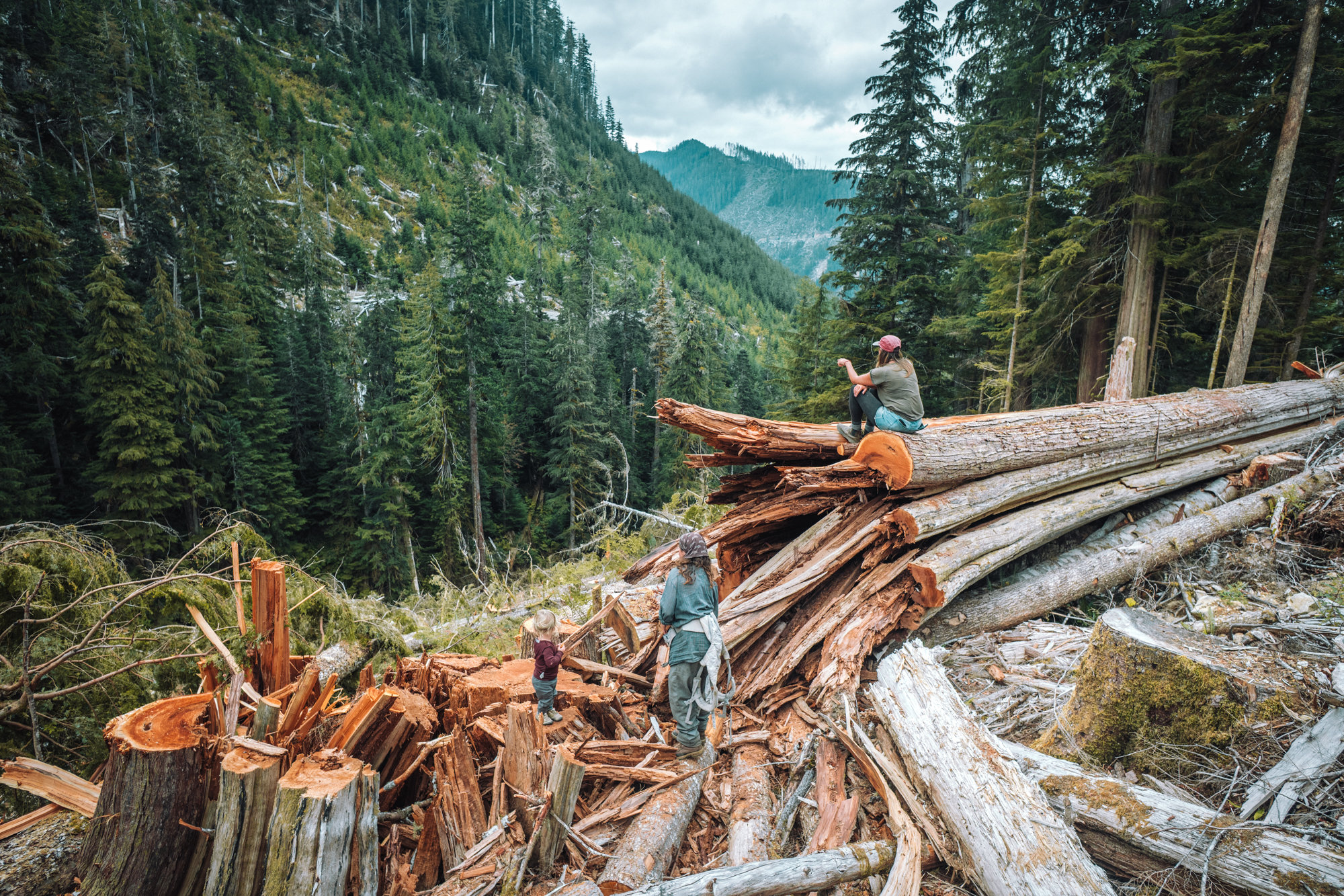 People sit on the stump of a fallen down old-growth tree looking out to a mountainous landscape 