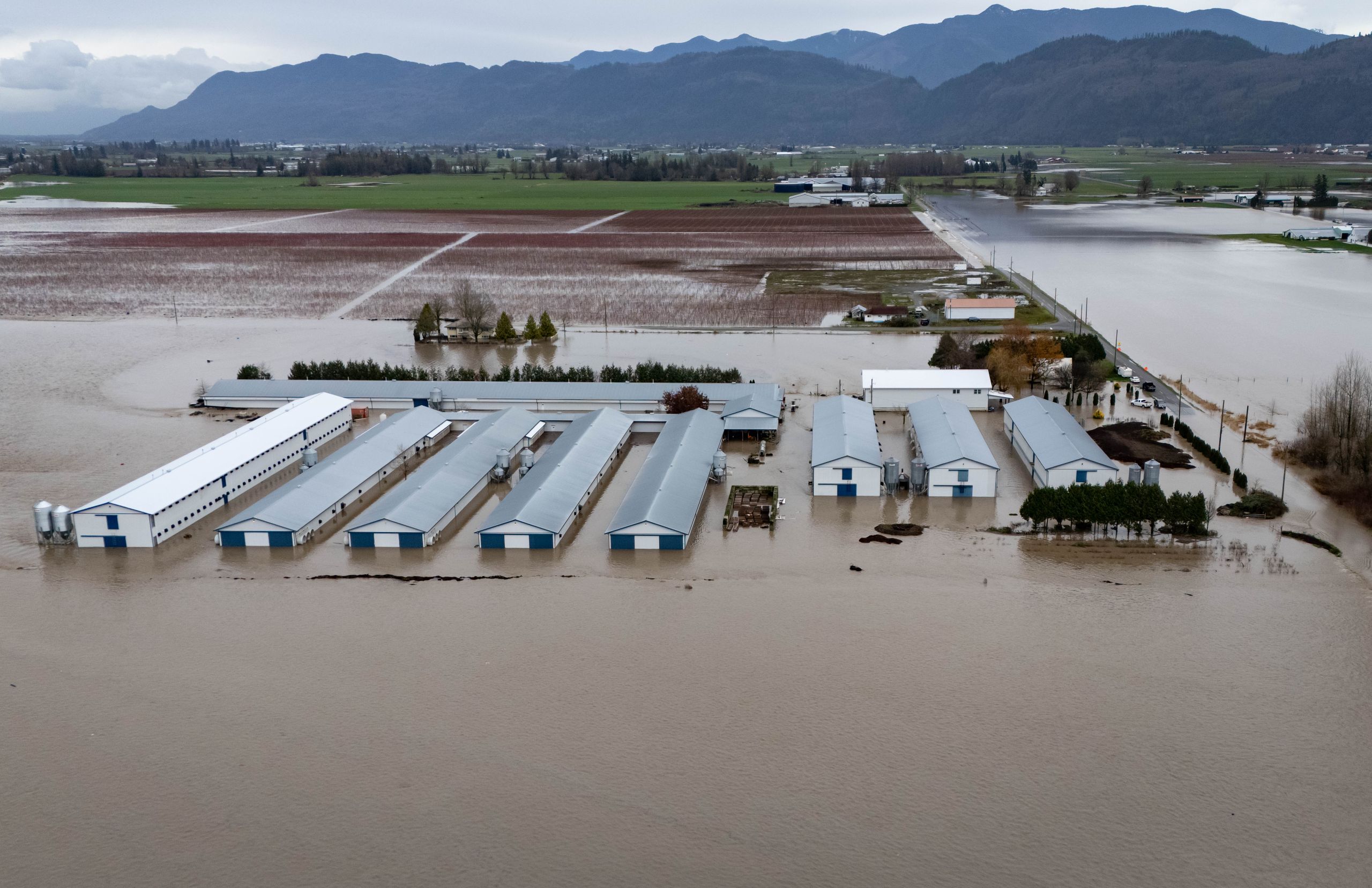 An aerial photo of a farm in Abbotsford, B.C., inundated by brown flood waters with mountains in the background.