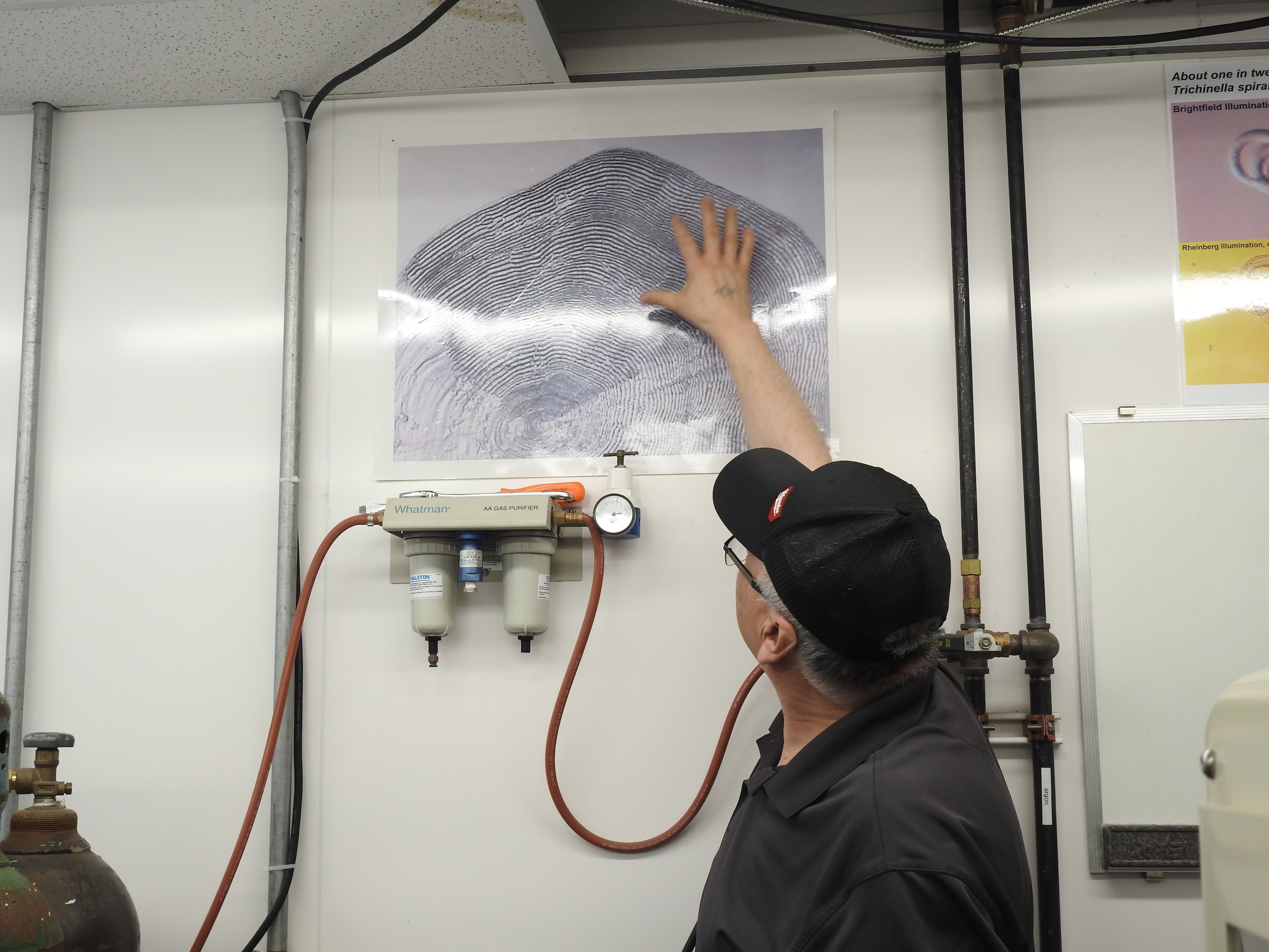 Resercher Allen Gordon pointing at an enlarged microscopic image of salmon scales.