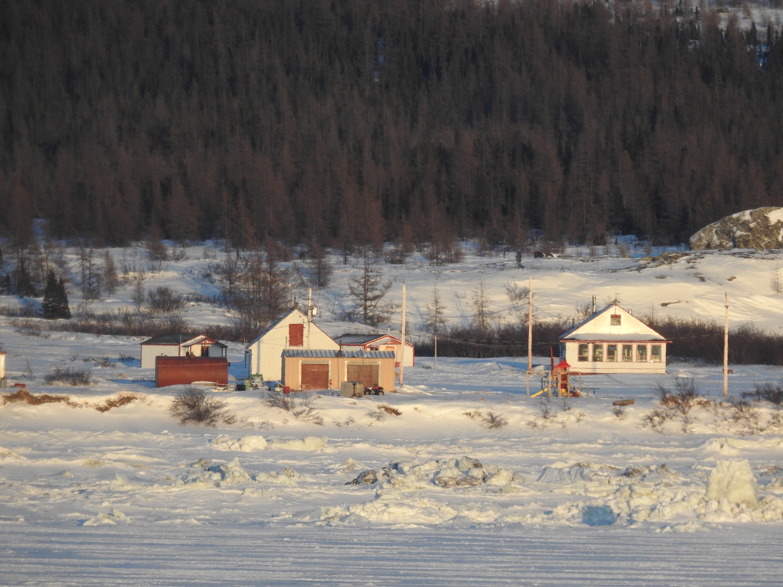 Small cabin houses in an Arctic tundra landscape, with a forest in the background.