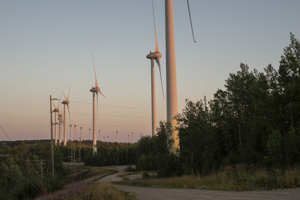 A gravel road winds through scrubby trees with a line of wind turbines stretching into the distance. The sun has just about set
