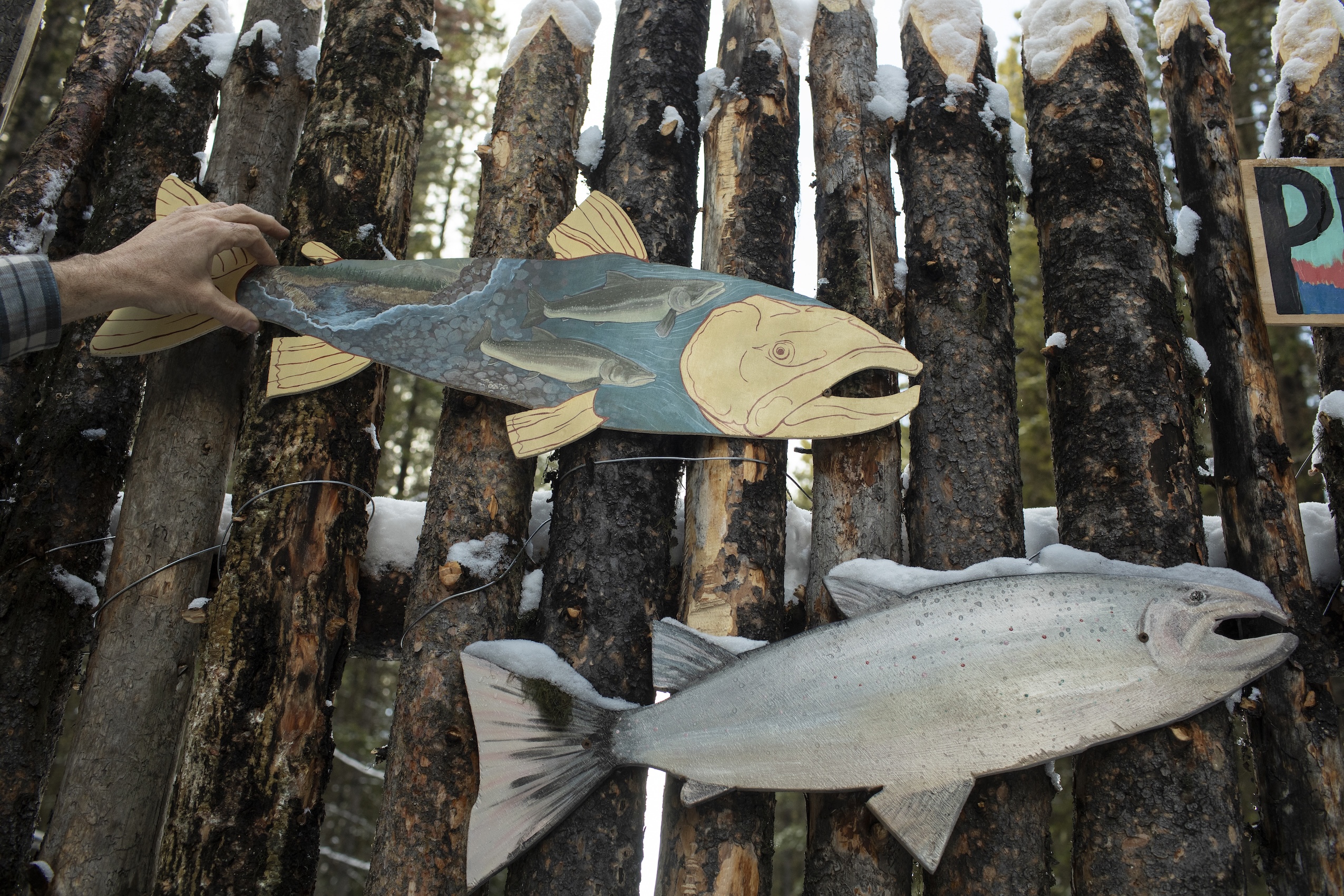 Two painted wooden trout hung on a wooden gate.