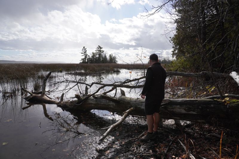 Seen from behind, a man looks out over a lake.