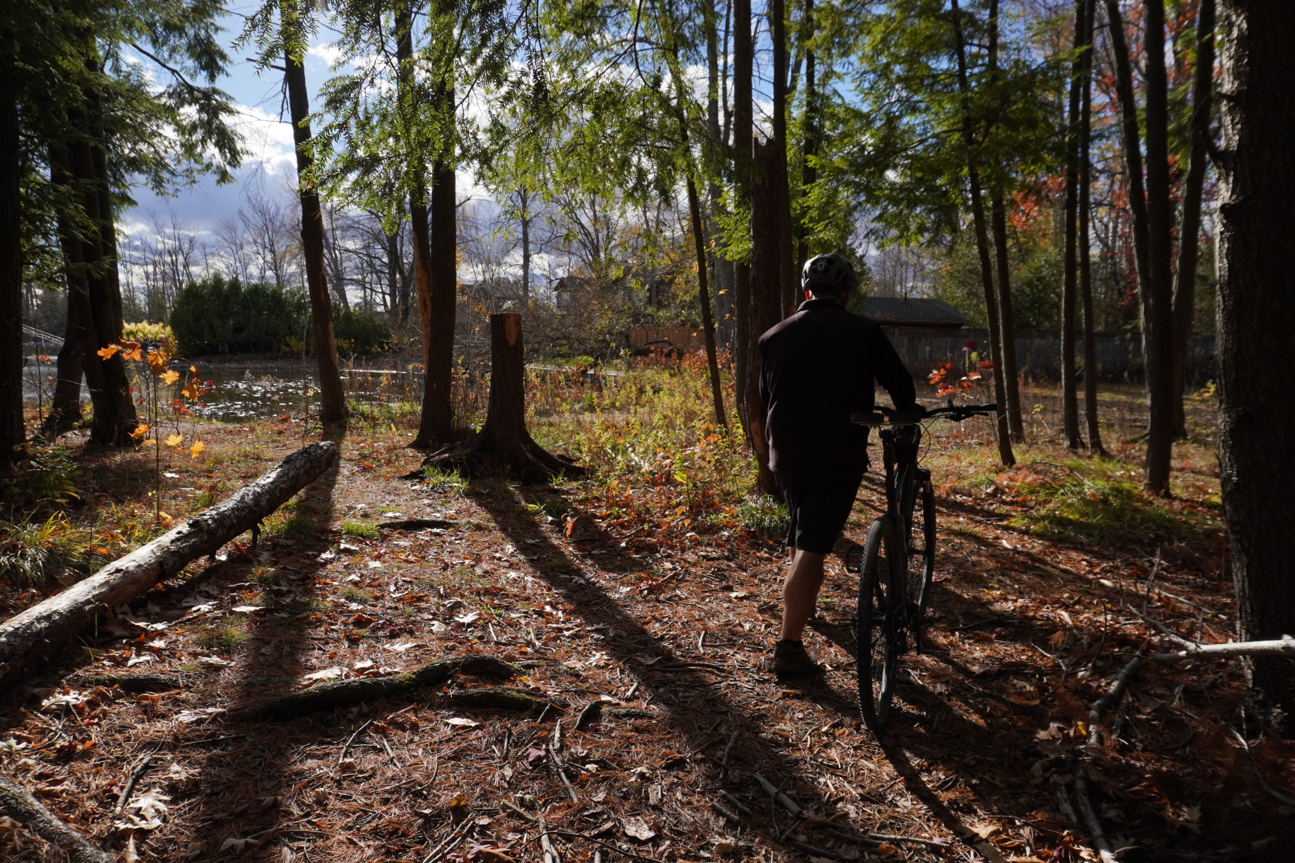Seen from behind, a man walks his bicycle through a forested area. IN the background over his shoulder, the shoreline of a small body of water.