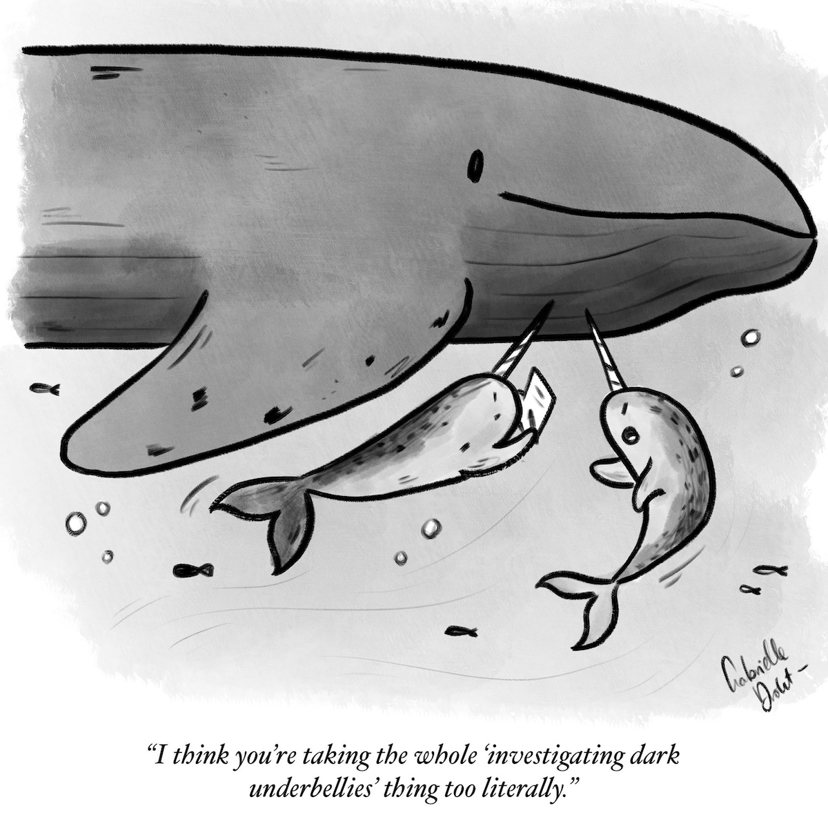 Illustration of two narwhals hanging, one busy reading, as a whale swims over them. Text reads: "I think you're taking the whole 'investigating dark underbellies' thing too literally."