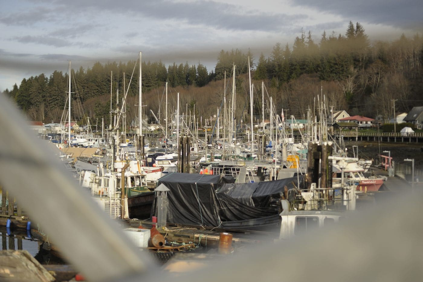 A snapshot of life in Alert Bay, B.C. | The Narwhal