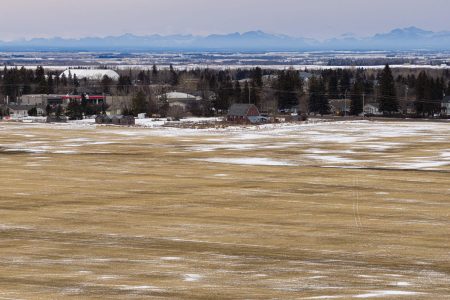 A small town, among trees, at the edge of an expanse of field