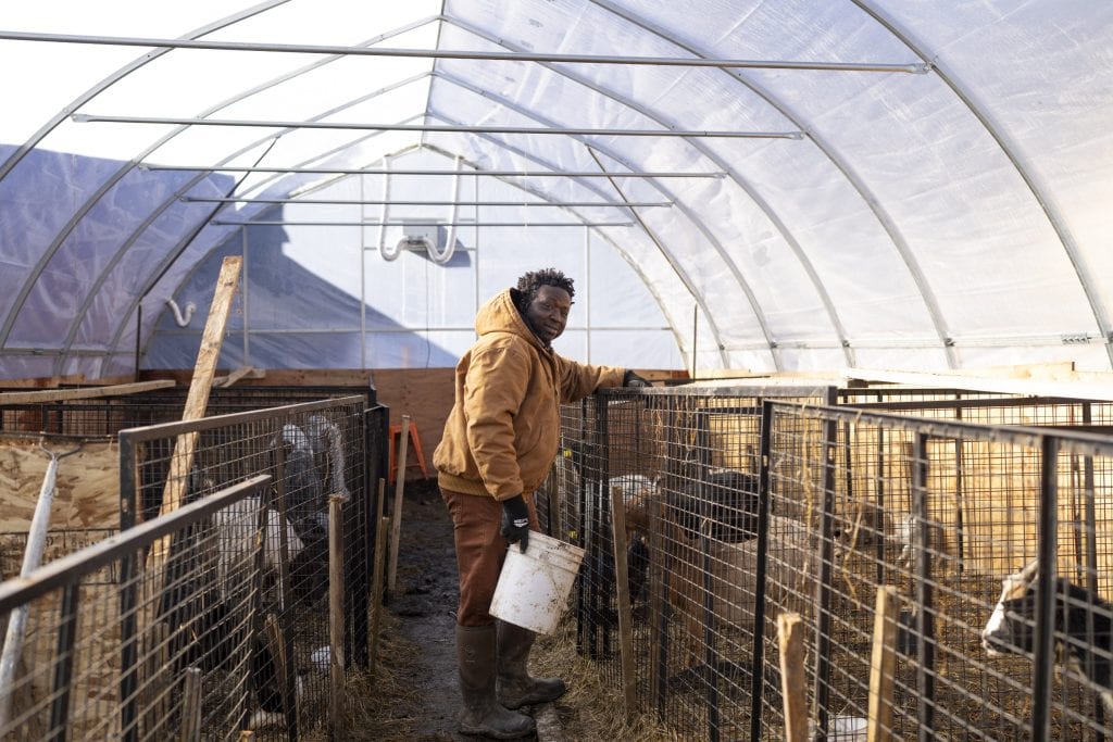 As grocery prices climb, one farmer bets on growing African staples in B.C.